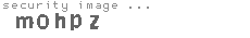 security image