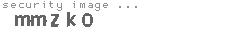 security image