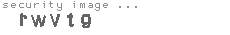security image