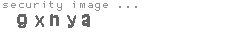 security image