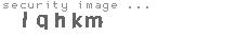 security image