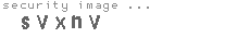 security image