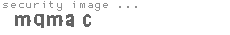 security image