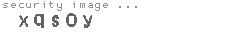 security image