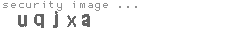 security image