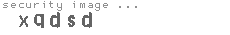 security image