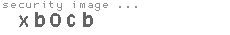 security image