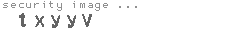 security image