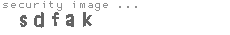 security image