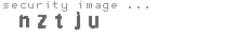 security image