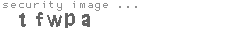 security image