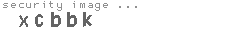 security image