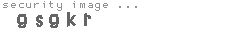 security image