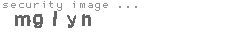 security image