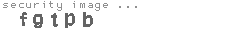 security image