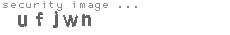 security image