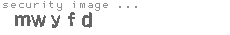 security image