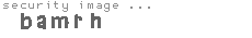 security image