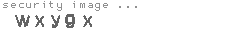 security image