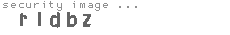 security image