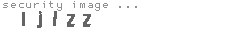 security image