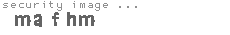 security image
