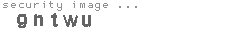 security image