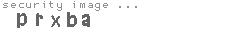 security image