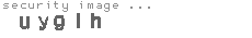 security image