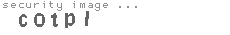 security image